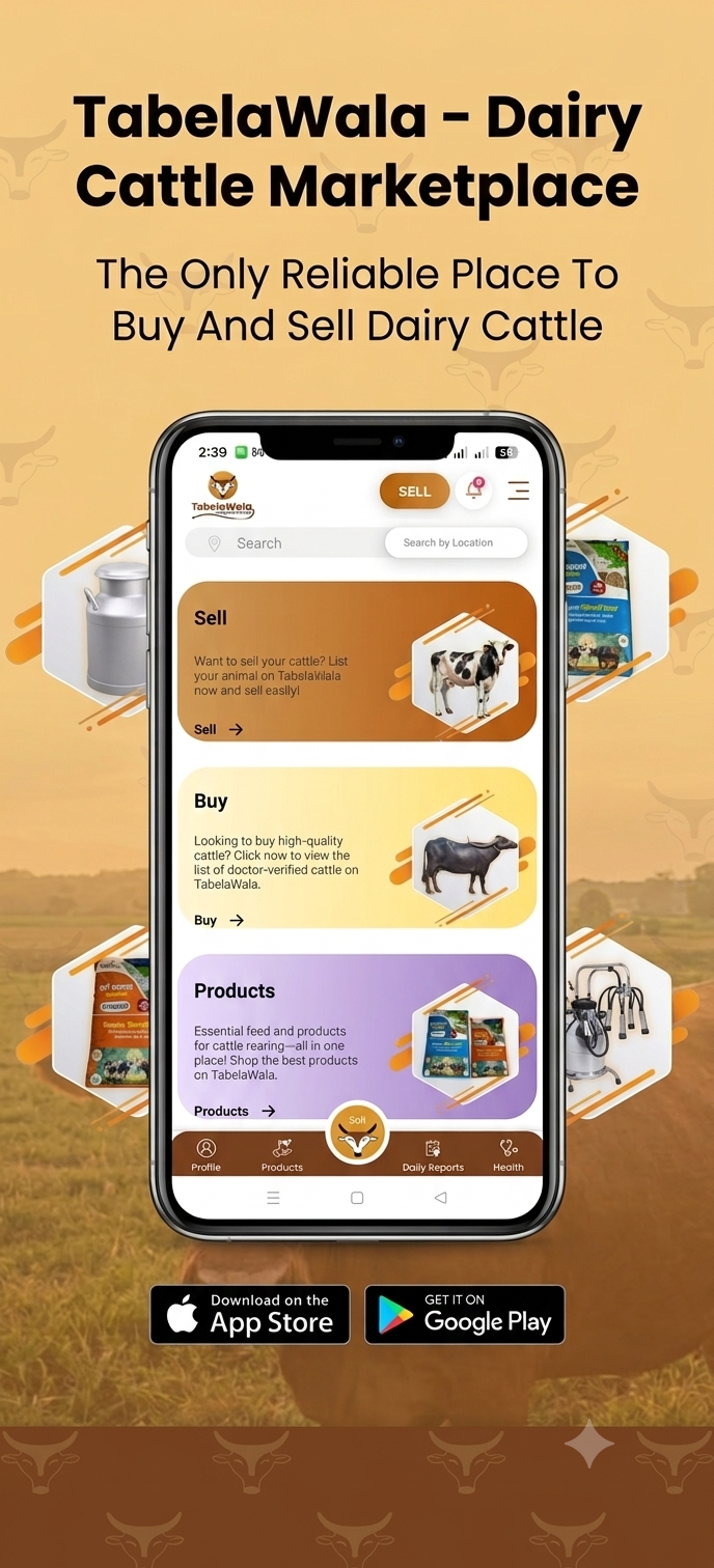 TabelaWala App Dashboard Interface