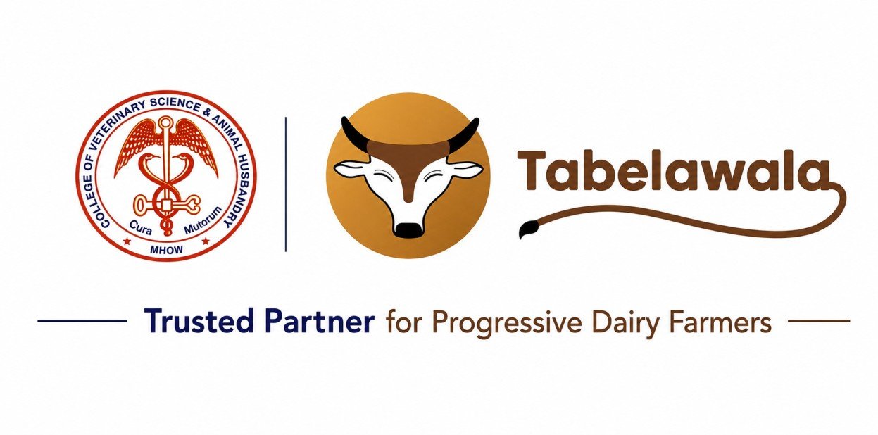 FEMALE DAIRYPRENEUR AWARD