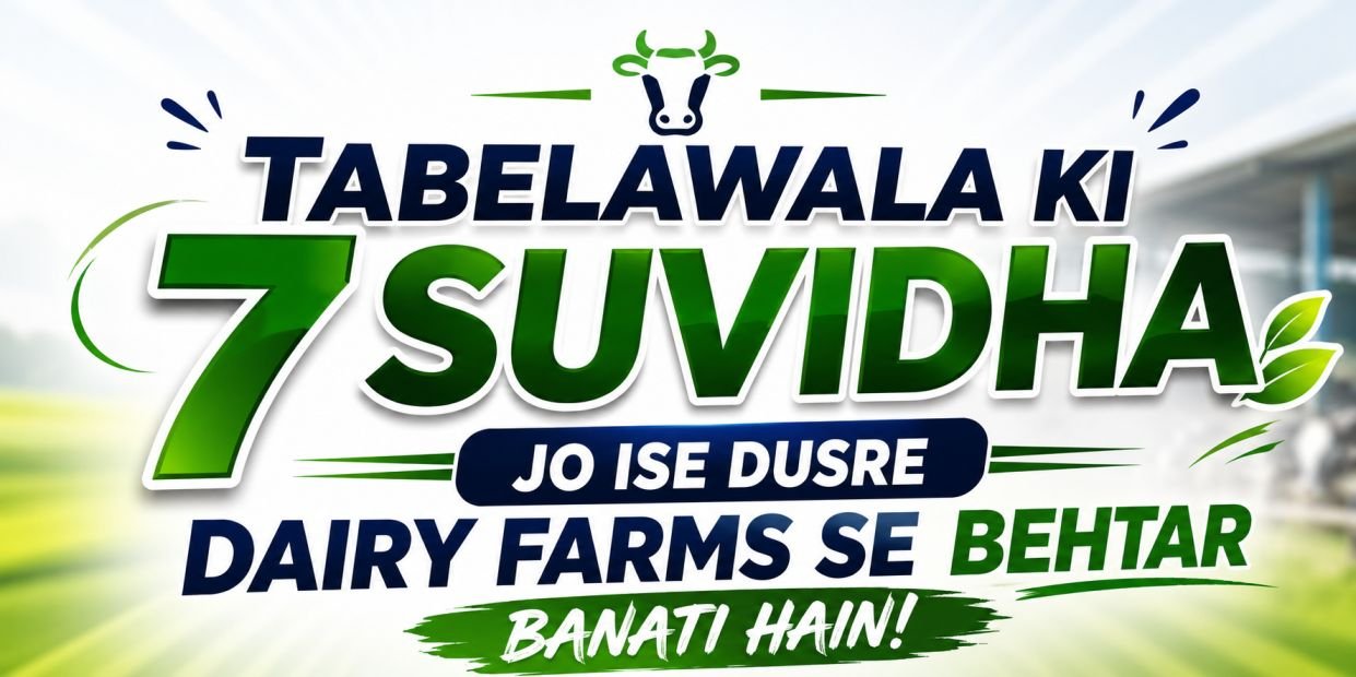 TabelaWala Ki 7 Suvidha Jo Ise Dusre Dairy Farms Se Behtar Banati Hain