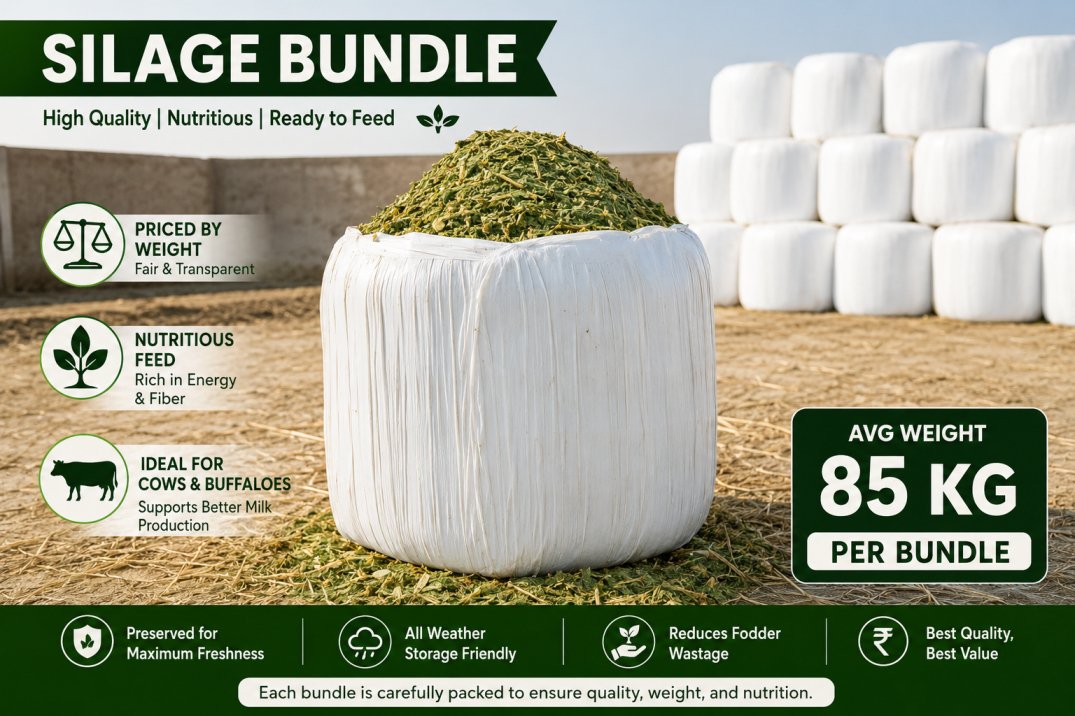 SILAGE