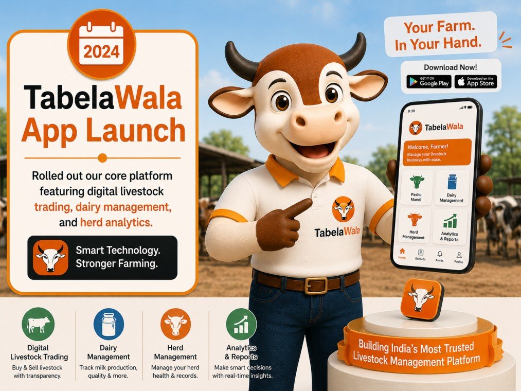 TabelaWala App Launch