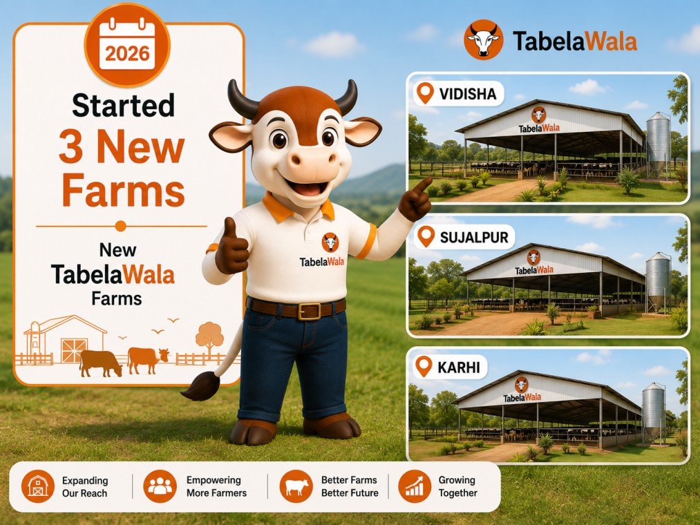 Started 3 New Farms